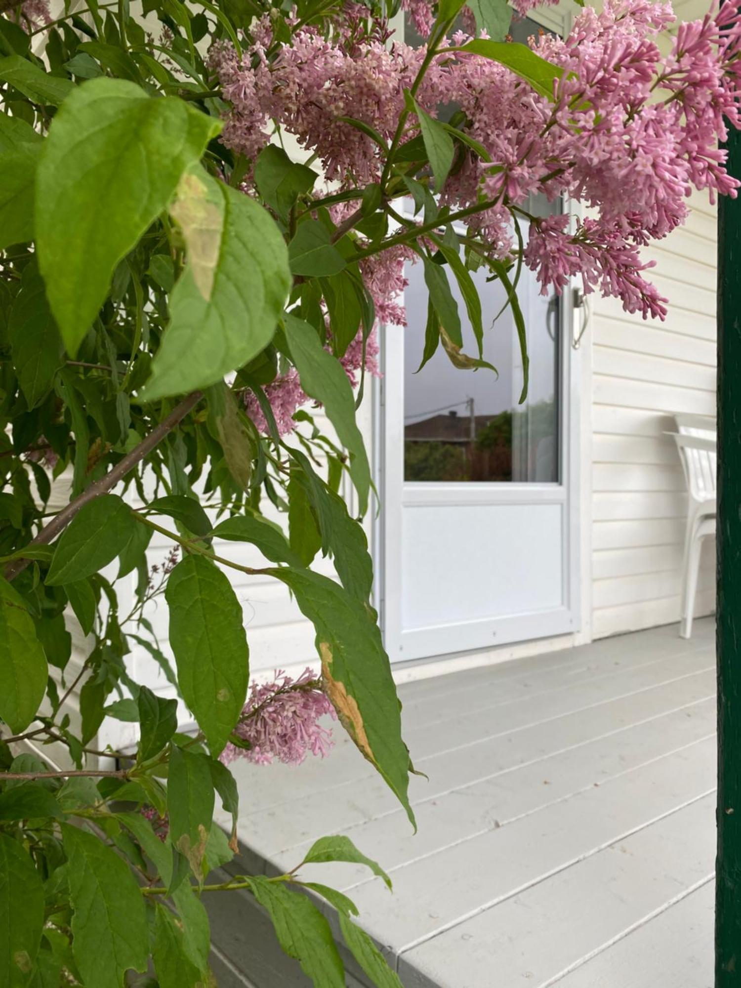 Chalets Glenn Perce Luaran gambar